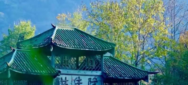 飞龙山庄(石台牯牛降景区店)图片