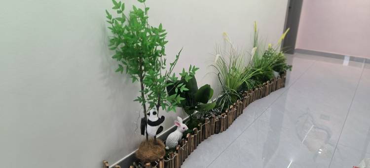 巧遇MEET·花园设计师度假美宿(三清山港首索道店)图片