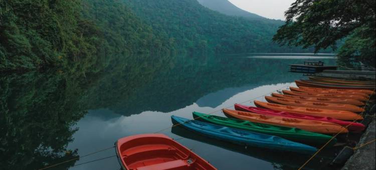 费尔纳多斯酒店(Fernando's Hotel)图片