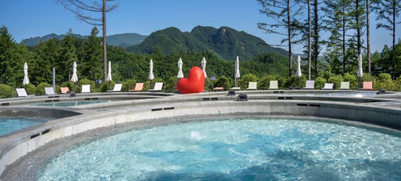 本溪观山湖熙康云舍健康度假酒店图片