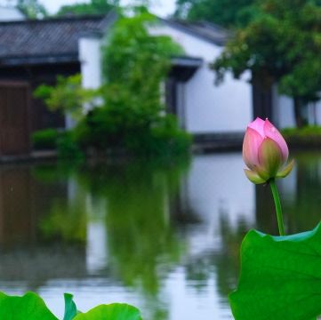 Blossom House Jiuhua Mountain Hotel Overview