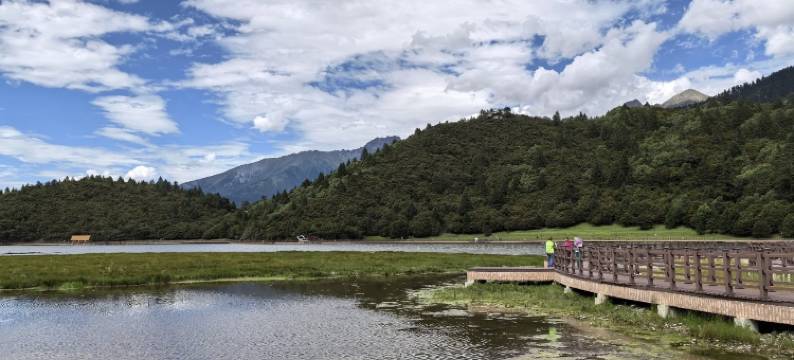 林芝·鲁朗丨Natural oxygen bar财鹿庄园(鲁朗国际旅游小镇店)图片