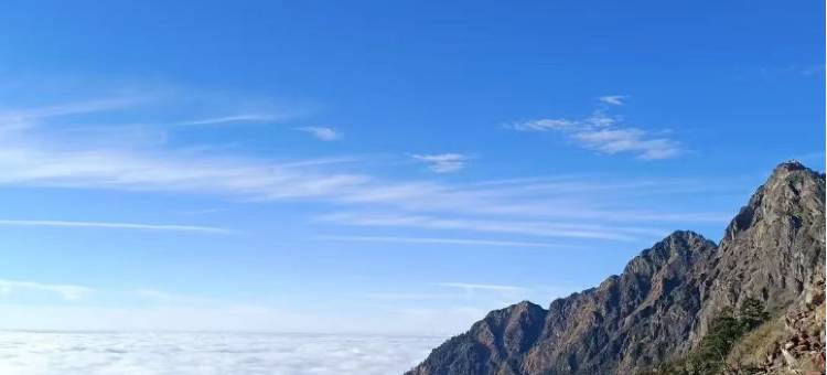 瑞咖民宿(平顶山开源路鹰城世贸店)图片