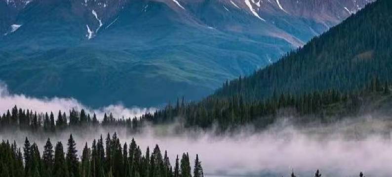 阿勒泰一念山涧GARDEN VILLAS设计师度假酒店(将军山滑雪场店)图片