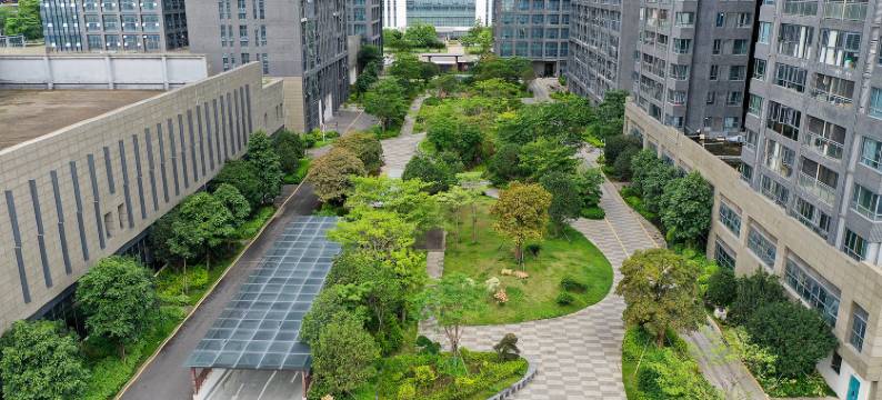 柏斯登国际公寓(深圳坪山高铁站宝龙地铁站店)图片