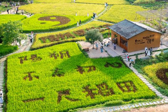 田园诗集民宿(阳朔遇龙河景区夏棠寨店)图片