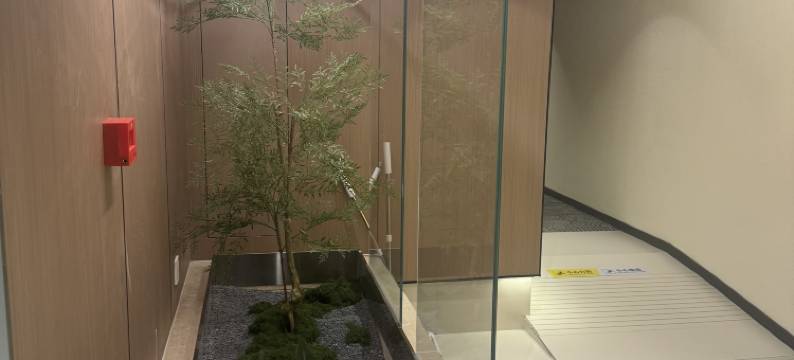 昆明巷往酒店(翠湖公园店)图片