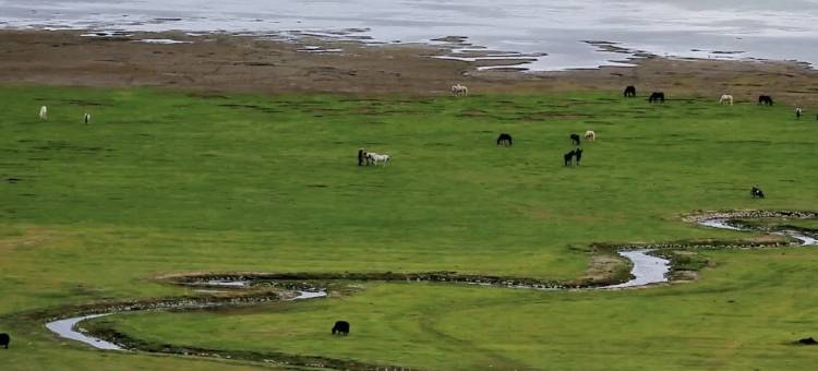 香格里拉梦联丽呈酒店图片