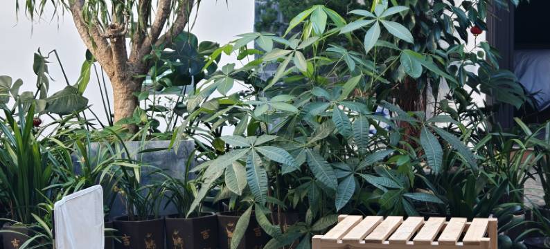 长汀水东民宿(汀州古城店)图片