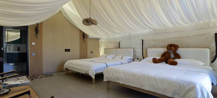 艾丽丝探险观景露营酒店图片