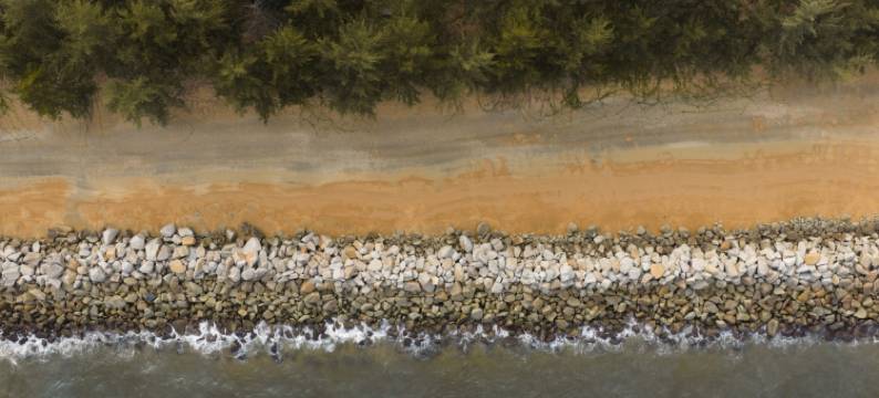 卡斯图里酒店(The Kasturi)图片