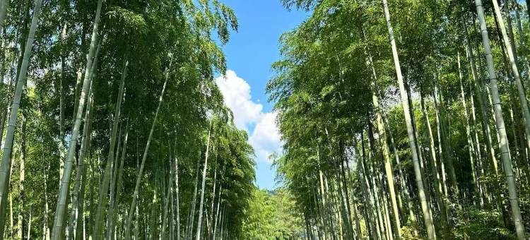 临汾龍悦酒店图片