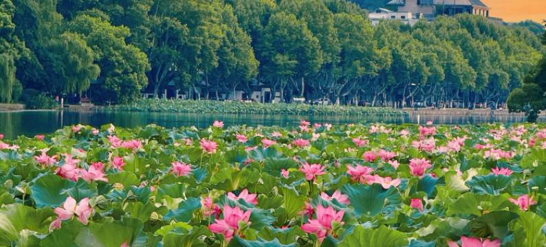 杭州领尚臻品酒店(婺江路地铁站河坊街店)图片