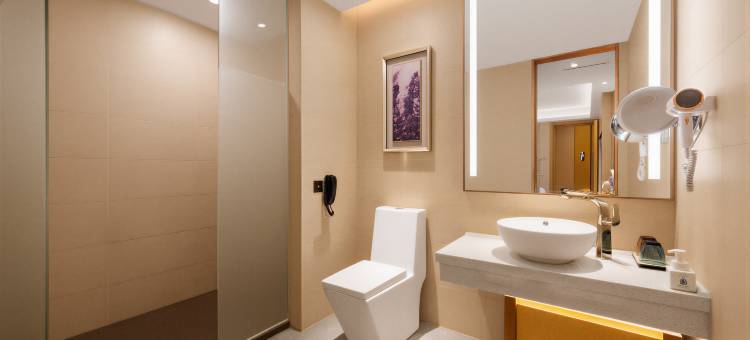 麗枫酒店(深圳罗湖口岸火车站店)图片