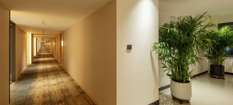 晟兴悦锦酒店(衣世界店)图片