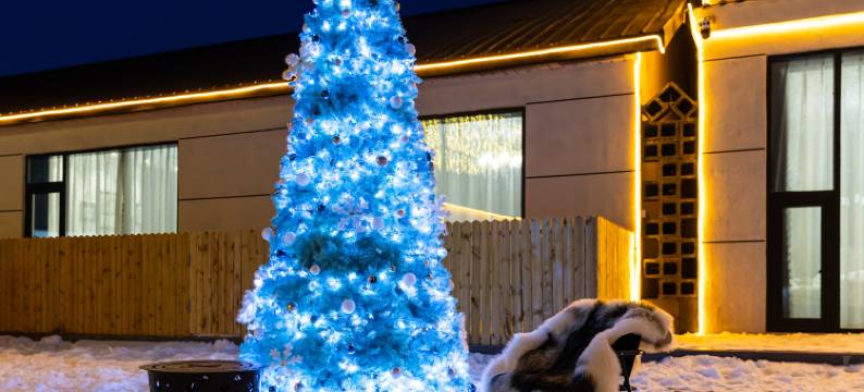 花筑·麓隐别院(长白山高铁站二道白河店)图片