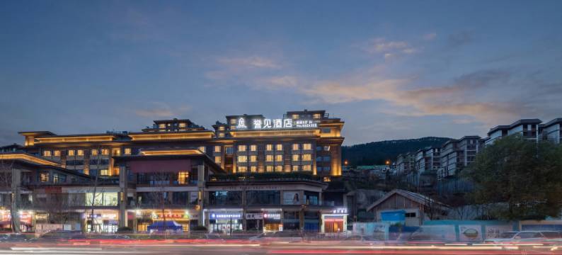 广元誉见酒店(广元万达广场店)图片