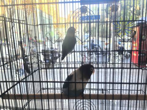 锦江都城(上海新天地田子坊店)图片