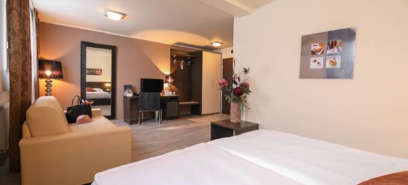 爱罗帕酒店(Hotel Evropa)图片