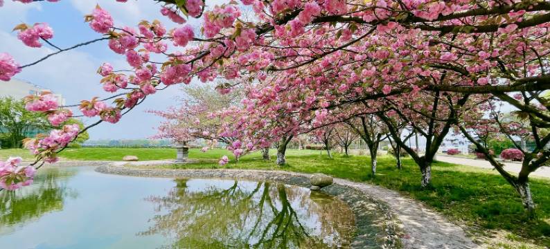 无锡花园大酒店图片