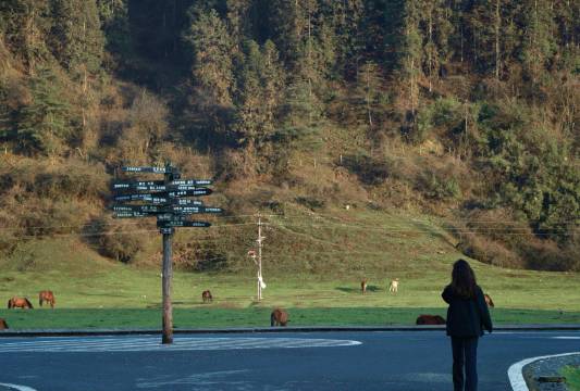 重庆千里走单骑·巴渝民宿(仙女山景区店)图片