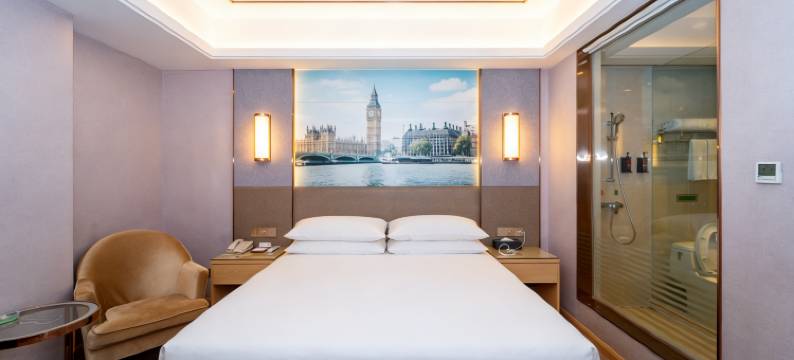 维也纳酒店(广州番禺傍江地铁站店)图片