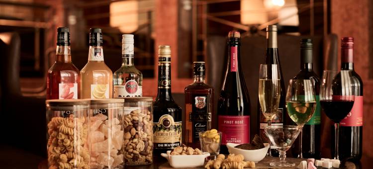豪斯登堡 海牙酒店(Hotel Denhaag Huis Ten Bosch)图片