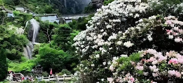山水日记·Nature sunshine自然丨山野美宿(三清山港首索道店)图片
