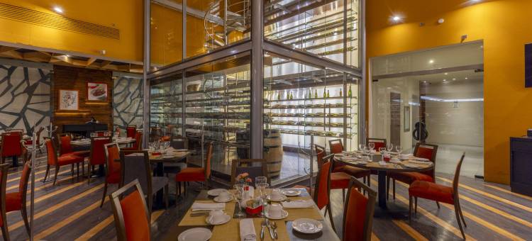 蒙特雷巴耶巴塞罗(Barceló Monterrey Valle)图片