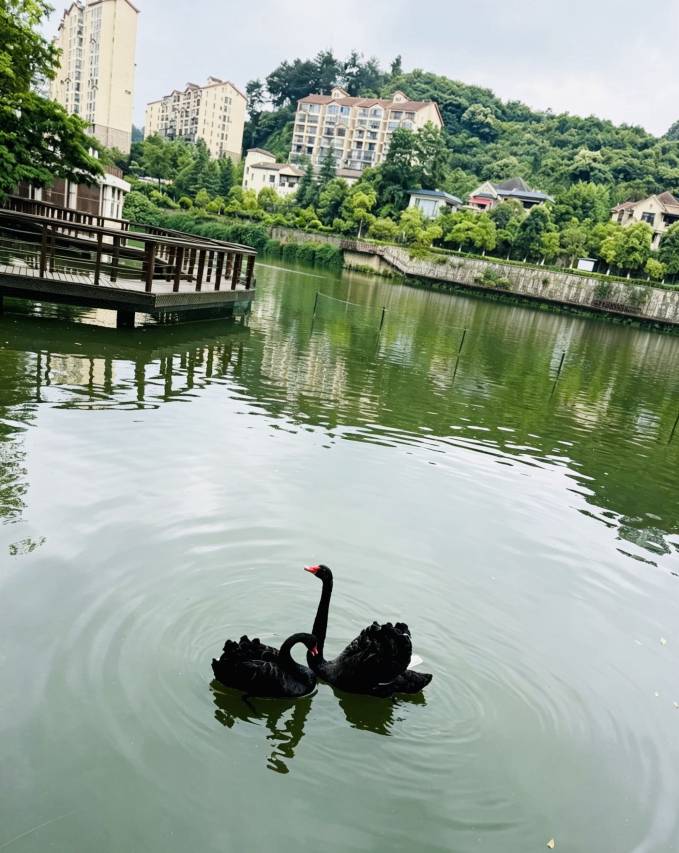 贵阳保利国际温泉酒店图片