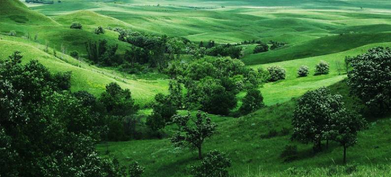 Outrigger Surin Beach Resort2图片