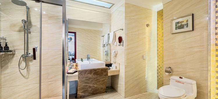 拉萨圣安大酒店图片