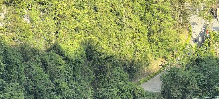 棉花景区长生缘民宿图片