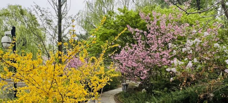 北京和园景逸大酒店图片