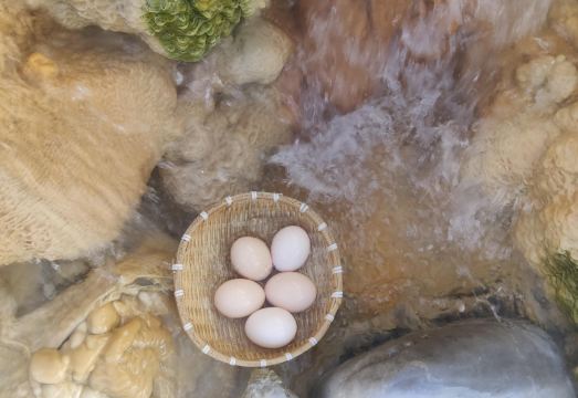 Kangding Dengba Meisu (Zhonggu Hot Spring Branch) Hotel Overview