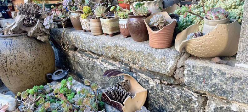 大理古城木门客栈(古城人民路店)图片