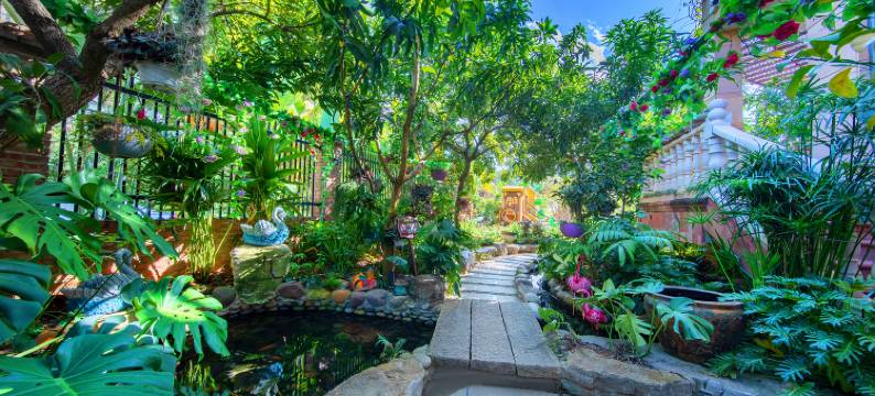 三只小熊祺星花园客栈图片