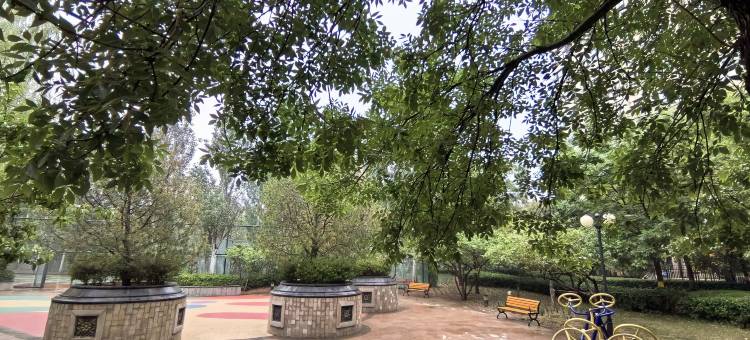 雅朵民宿图片