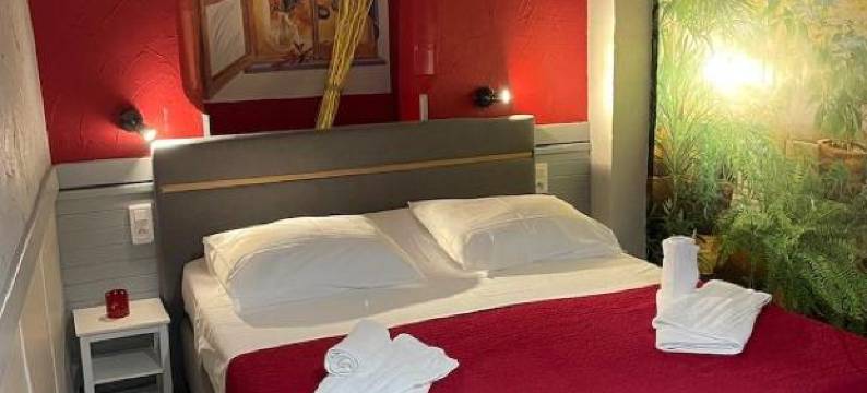 萨沃酒店(Hotel de Savoie)图片