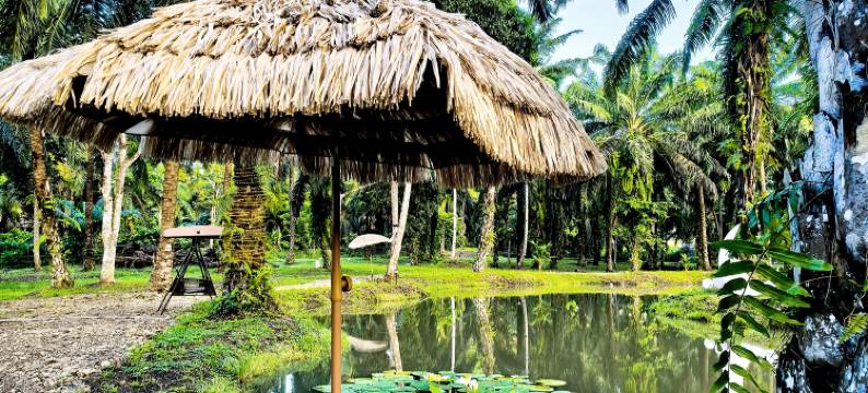 棕榈湖度假村(中文管家服务+免费仙本那镇上/码头接送班车)(Palm Lake Resort)图片