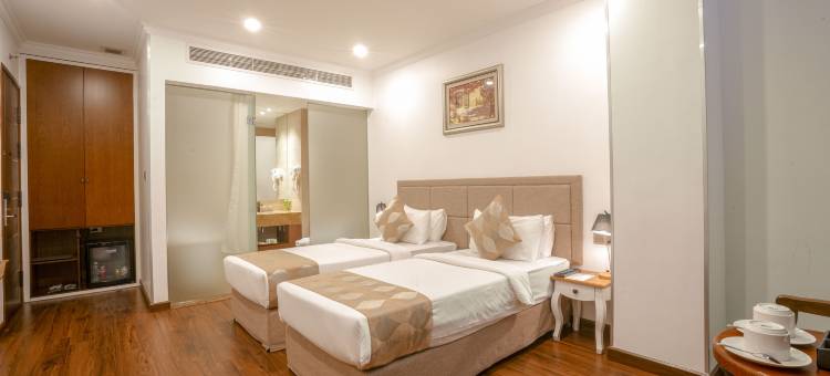 西贡内斯塔内斯塔酒店(Nesta Hotel Saigon)图片