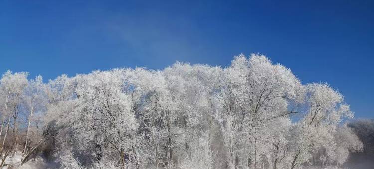 凇园宾馆(逊克大平台雾凇风景区店)图片