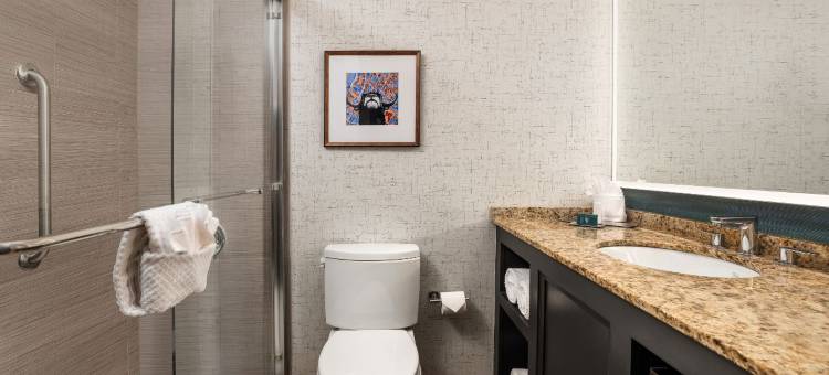 希尔顿阿斯廷市中心逸林套房酒店(DoubleTree Suites by Hilton Hotel Austin Downtown Capitol)图片