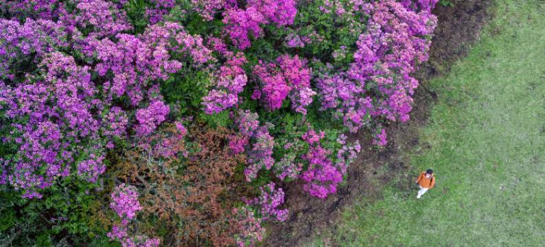 兰坪墅家吾乡罗古箐徒步民宿图片