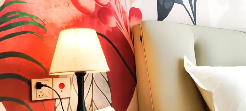 春景澜珊民宿(只有河南戏剧幻城店)图片