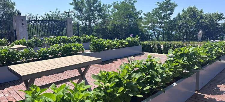 看看大海·咖啡民宿(大连森林动物园店)图片