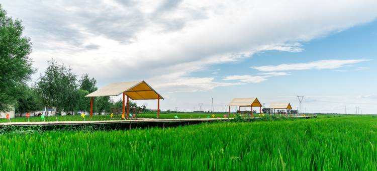 花筑·安代稻田居民宿(查干湖站店)图片