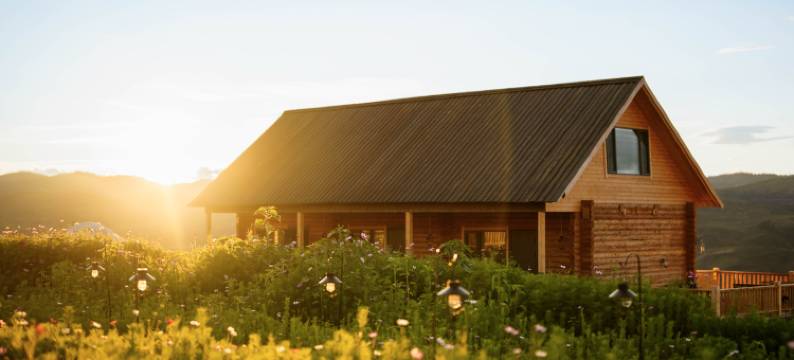 白哈巴野自在民宿图片