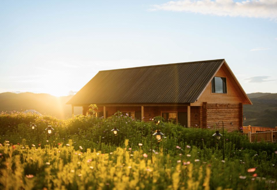 白哈巴野自在民宿外景图