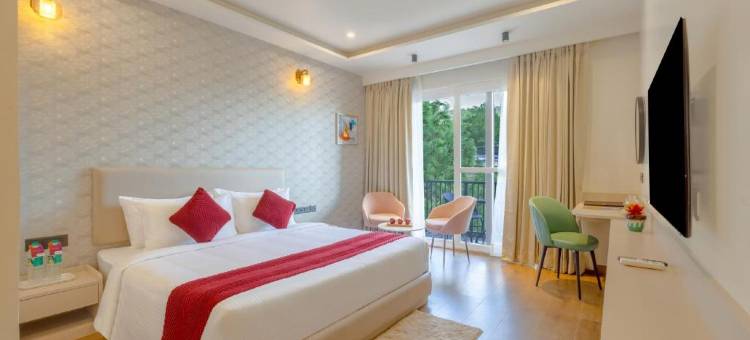 斯特林阿美瑞斯卡绍利(Sterling Ameris Kasauli)图片